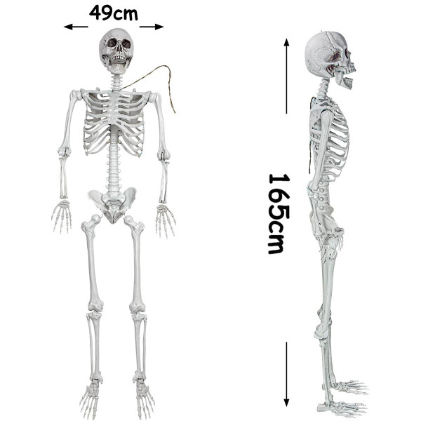 XXL Dekoracija "Skeletas" (165cm)
