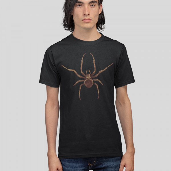 Marškinėliai "A spider"