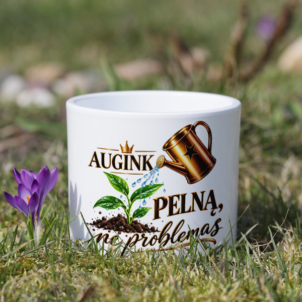 Keramikinis vazonas "Auginkite pelną, ne problemas"