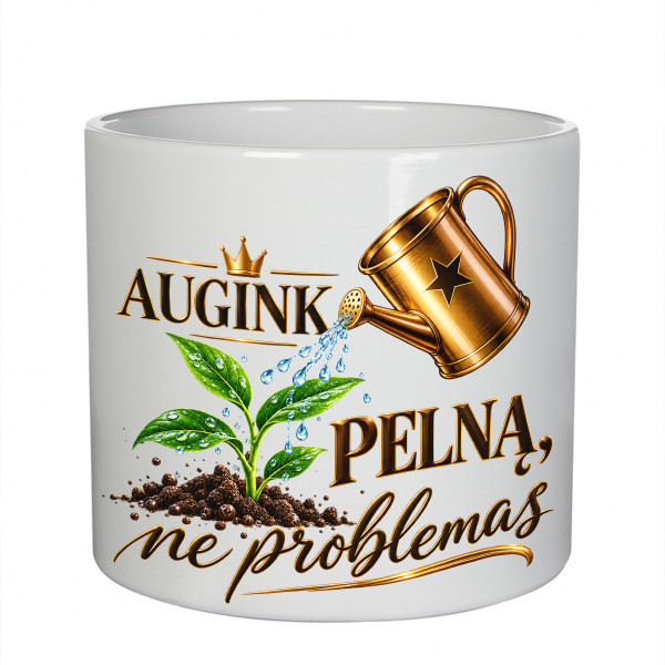 Keramikinis vazonas "Auginkite pelną, ne problemas"