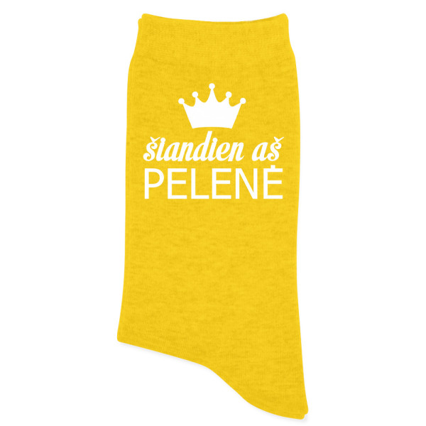 Moteriškos kojinės "Šiandien aš pelenė"