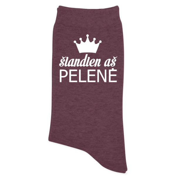 Moteriškos kojinės "Šiandien aš pelenė"